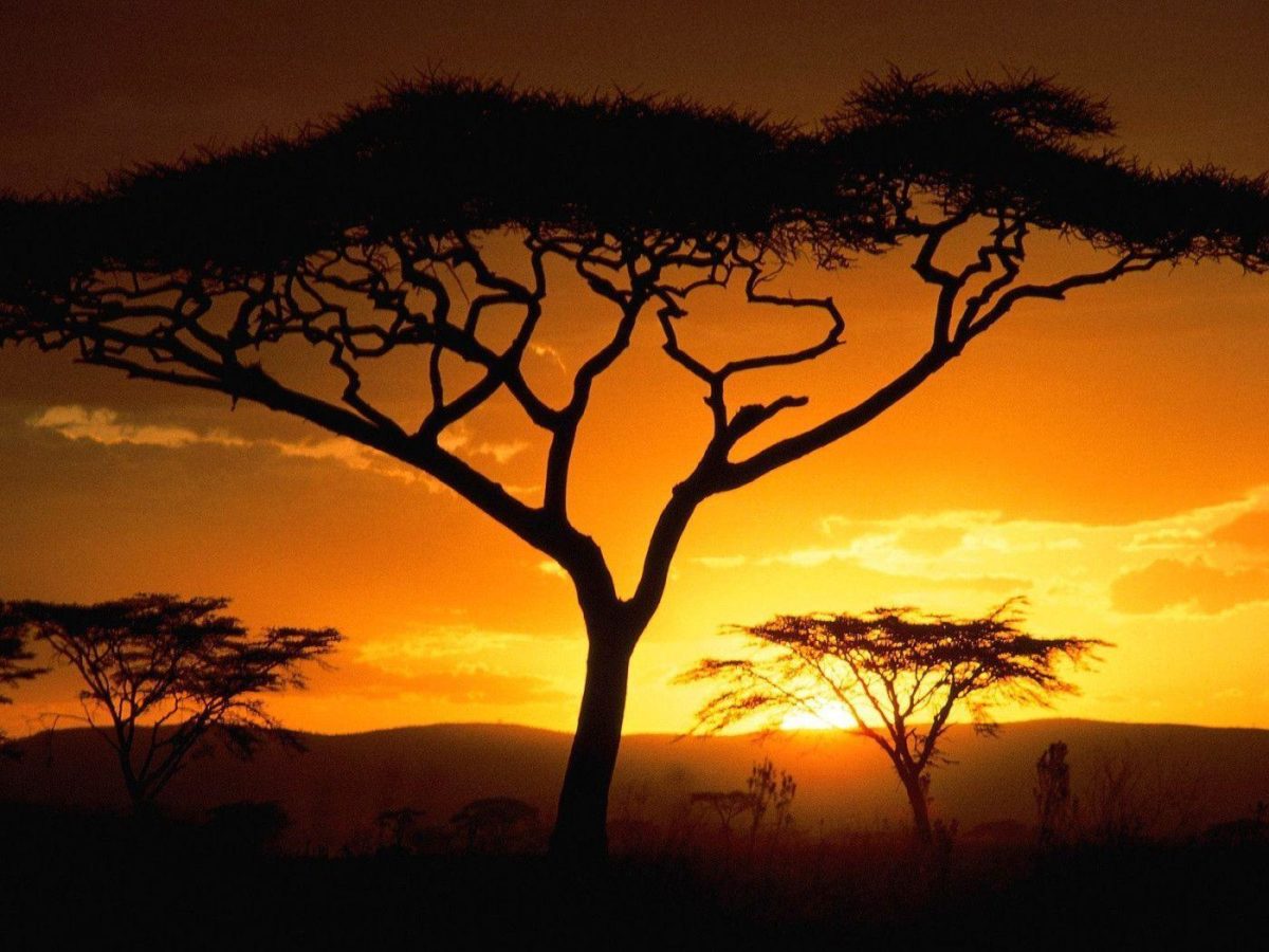 Tanzanian Sunset, Africa desktop wallpaper « Desktopia.