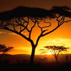 download Tanzanian Sunset, Africa desktop wallpaper « Desktopia.