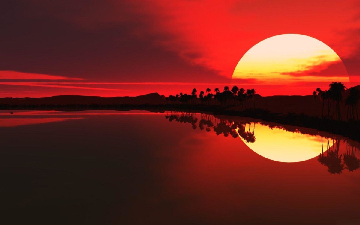 Sunset in Africa widescreen wallpaper | Wide-