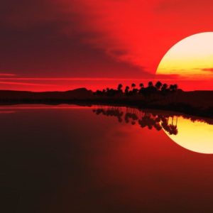 download Sunset in Africa widescreen wallpaper | Wide-