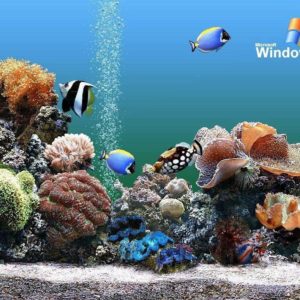 download Download Free Aquarium Backgrounds Windows Aquarium Wallpaper …