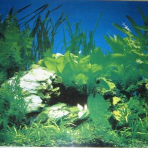 download Aquarium Background Decoration Planted and Driftwood 36" x 23 5 …