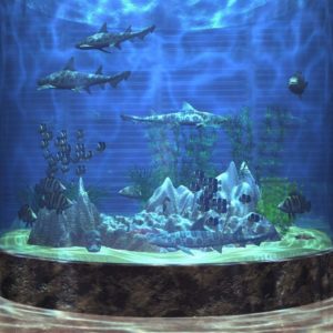 download Aquarium Backgrounds 7 Desktop Background | WallFortuner.