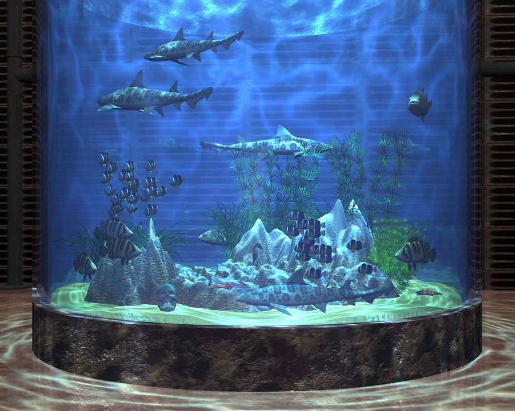 Aquarium Backgrounds 7 Desktop Background | WallFortuner.