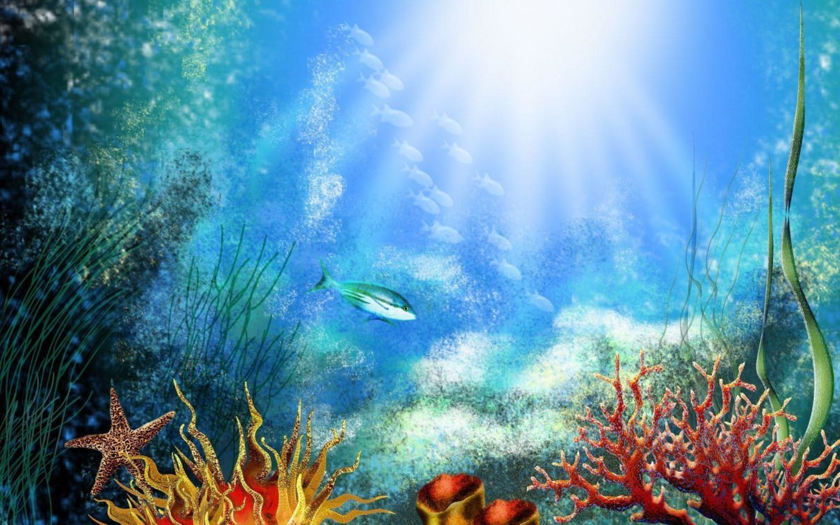 33 Attractive Aquarium background – Technosamrat