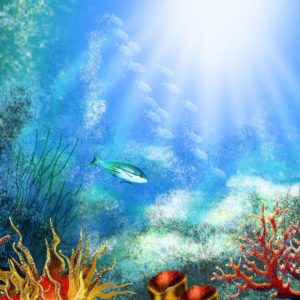 download 33 Attractive Aquarium background – Technosamrat