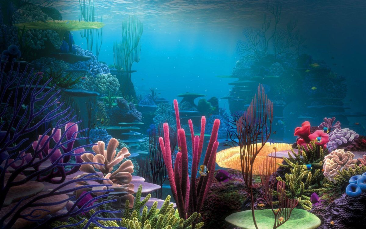 Aquarium Wallpapers – Full HD wallpaper search