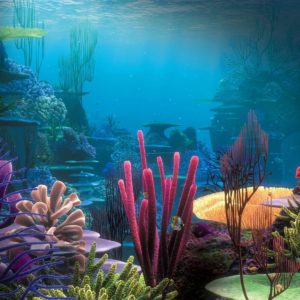 download Aquarium Wallpapers – Full HD wallpaper search