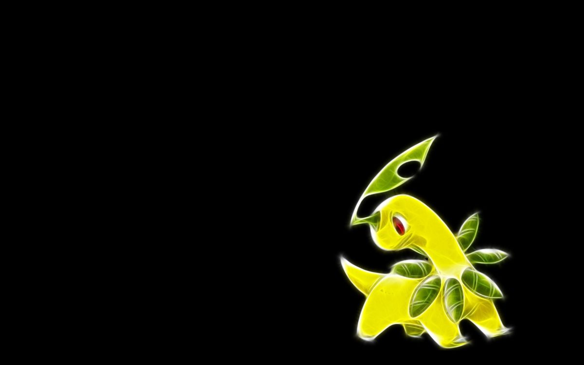 green pokemon fractalius black background bayleef 1920×1200 …