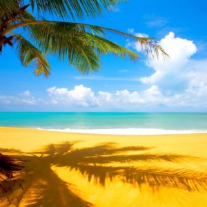 download Beach Wallpapers | Free Desk Wallpapers