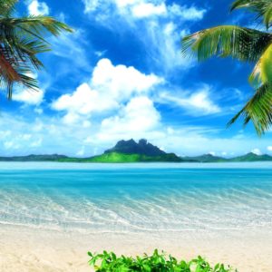 download Tropical Wallpapers – Full HD wallpaper search