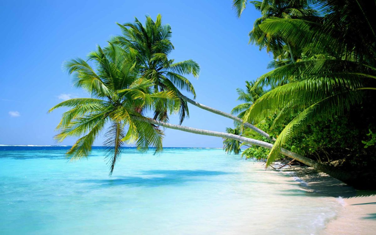 Tropical Beach Wallpaper Widescreen Hd Pictures 4 HD Wallpapers …