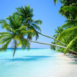 download Tropical Beach Wallpaper Widescreen Hd Pictures 4 HD Wallpapers …