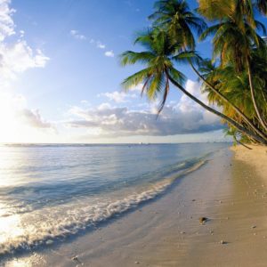download 1250 Beach Wallpapers | Beach Backgrounds Page 7