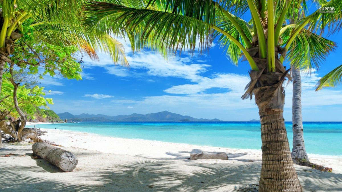 Tropical Beach | Download HD Wallpapers