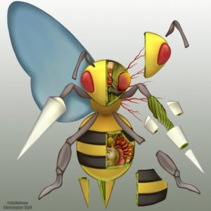 download Beedrill Anatomy by Christopher-Stoll on DeviantArt