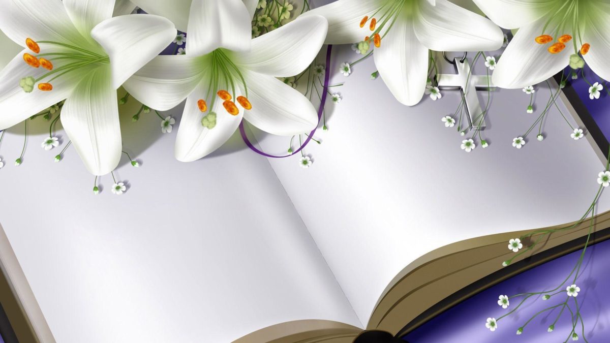 Easter Lilies on Bible widescreen wallpaper | Wide-