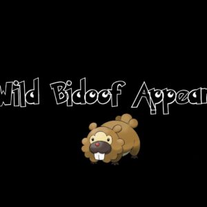 download A-wild-bidoof-appears.jpg – Pokemon Wallpaper