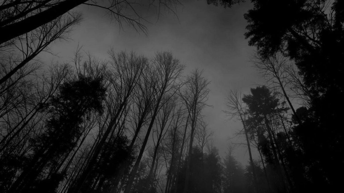 Image – Forest-black-white-dark-forest-wallpaper.jpg – Creepypasta …