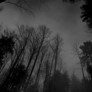 download Image – Forest-black-white-dark-forest-wallpaper.jpg – Creepypasta …