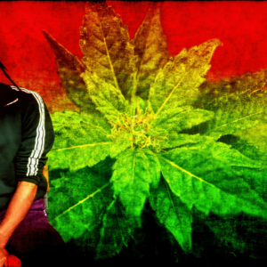 download Download HD Bob Marley Wallpapers