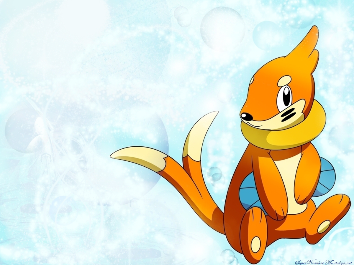 5 Buizel (Pokemon) HD Wallpapers | Background Images – Wallpaper Abyss