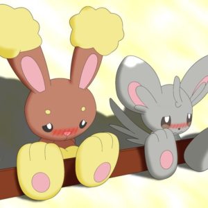 download Buneary and Minccino paw growth by Alphaws on DeviantArt