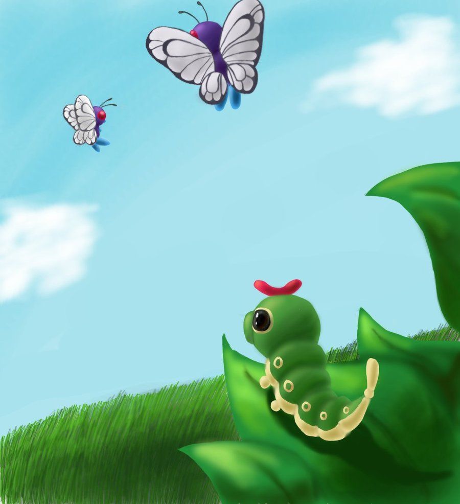 Caterpie and Butterfree | Butterfly | Pinterest | Pokémon and …