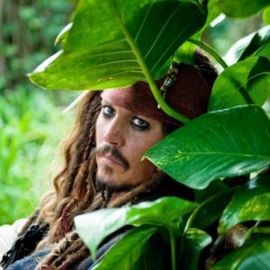 download Captain Jack in the jungle – Captain Jack Sparrow Wallpaper