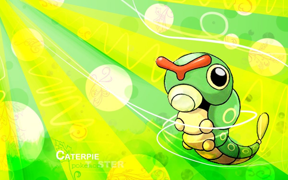 Caterpie Wallpaper – images free download