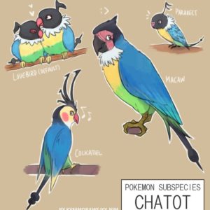 download Pkmn Subspecies: Chatot by ky-nim on DeviantArt