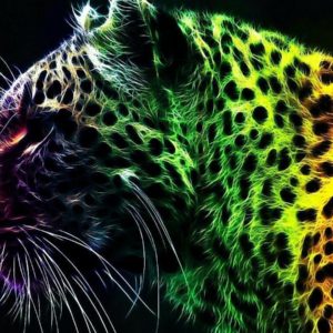 download Wallpapers For > Cool Cheetah Wallpapers