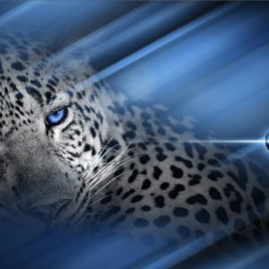 download Cheetah MACOS wallpaper taken from Cheetah Print Wallpaper …
