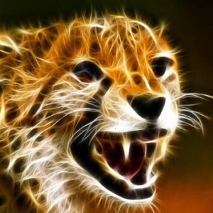 download Cheetah Baby Animal Wallpaper Pc #5520 Wallpaper | Wallpaper …