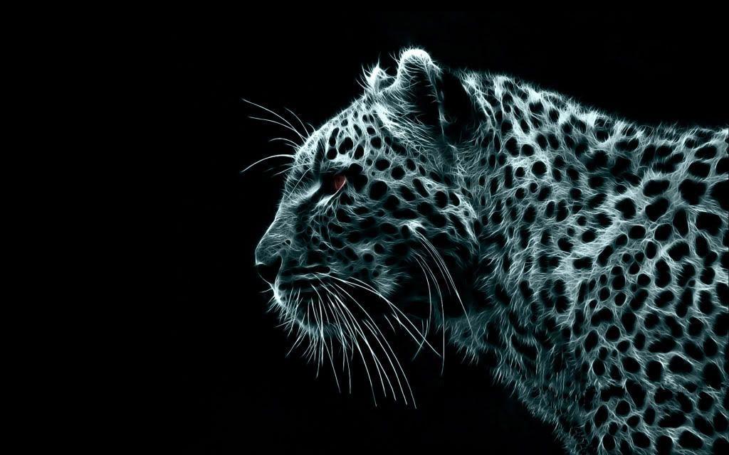 Pix For > White Cheetah Wallpaper