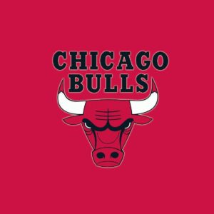 download Bulls Logo Red Background Wallpaper | ChicagoBullsPictures.com