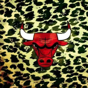 download Chicago Bulls Wallpaper 3D #5287 Wallpaper | Wallshed.