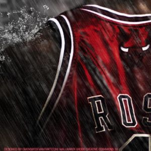 download 2013 Chicago Bulls Wallpaper HD 32 24589 Images HD Wallpapers …