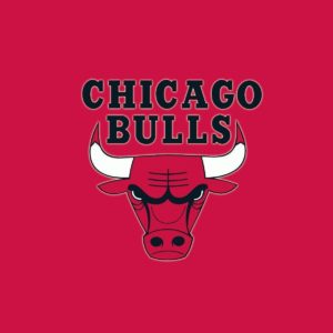 download Chicago Bulls Desktop Backgrounds Hd 24314 Images | wallgraf.