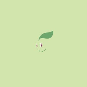 download Minimalist Chikorita by Muzikere on DeviantArt