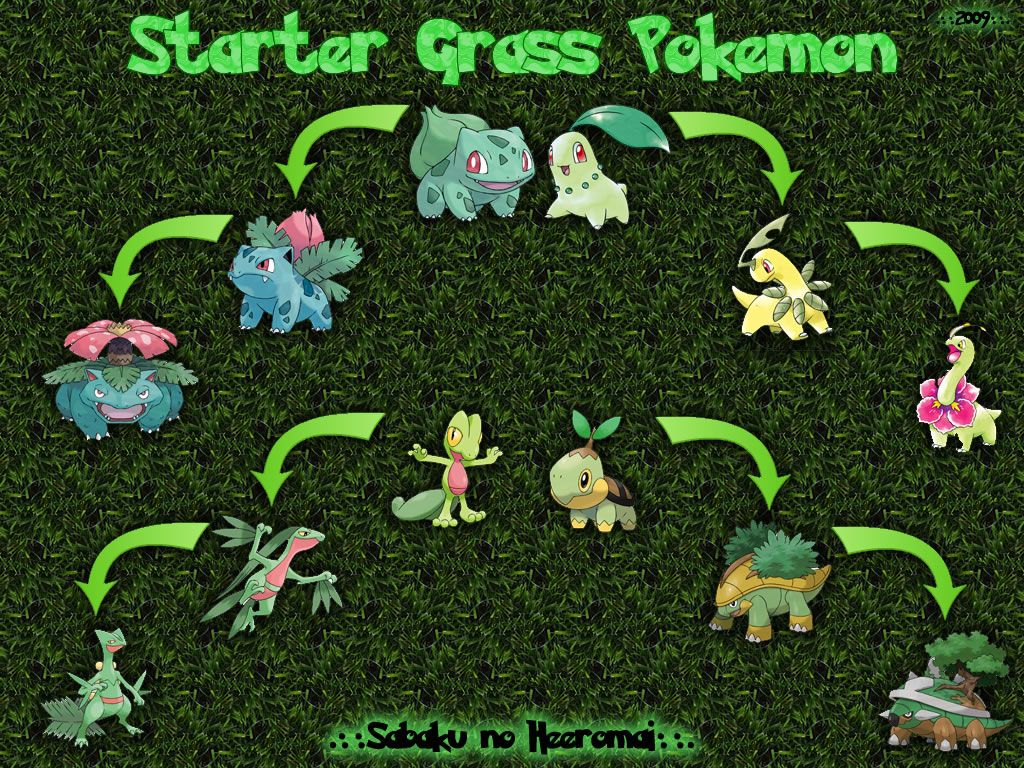 Grass Pokemon Wallpaper by SabakuNoHeeromai on DeviantArt