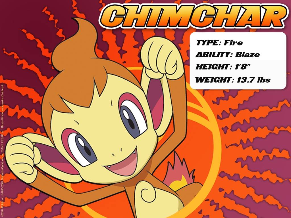 chimchar – Pokemon Wallpaper