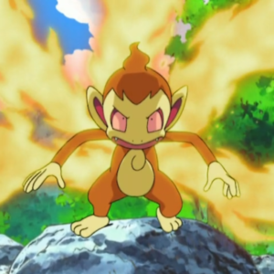 download Image – Ash Chimchar Blaze.png | Pokémon Wiki | FANDOM powered by Wikia