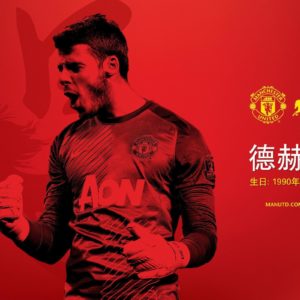 download Chinese New Year | Manchester United Wallpaper
