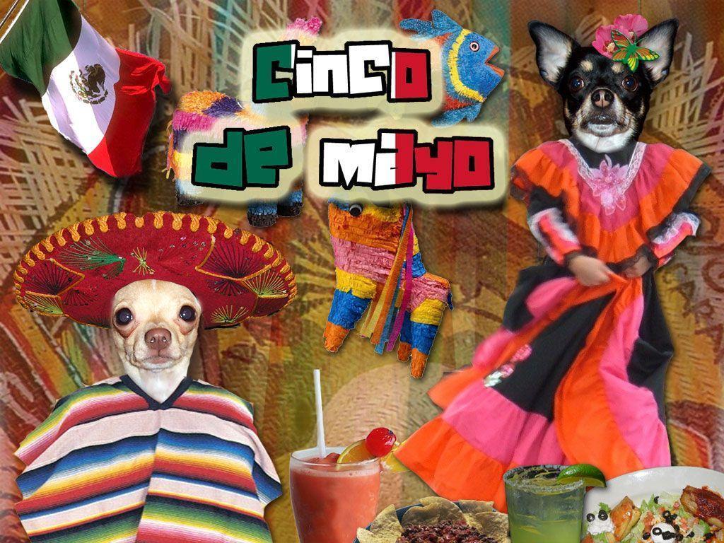 For Cinco De Mayo Pictures