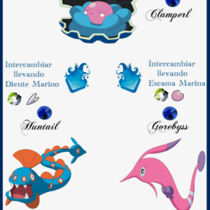 download 177 Clamperl Evoluciones by Maxconnery on DeviantArt