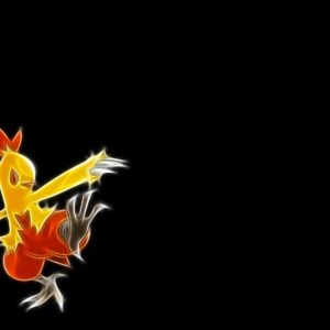 download Combusken – Pokemon wallpaper – Game wallpapers – #34727