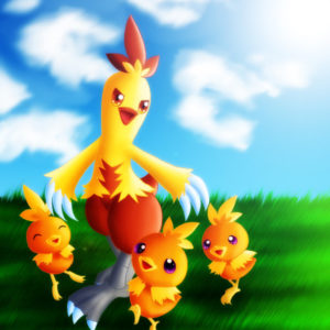 download combusken and torchic by GNTS … – combusken and torchic by GNTS on DeviantArt – Combusken HD Wallpapers