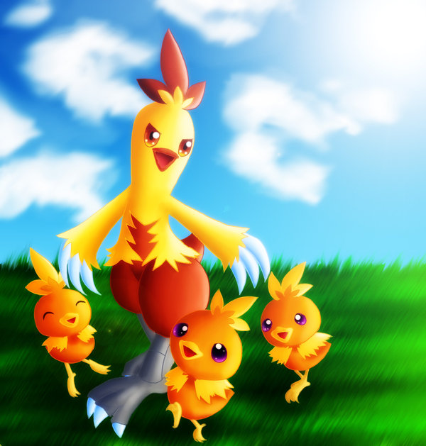combusken and torchic by GNTS … – combusken and torchic by GNTS on DeviantArt – Combusken HD Wallpapers