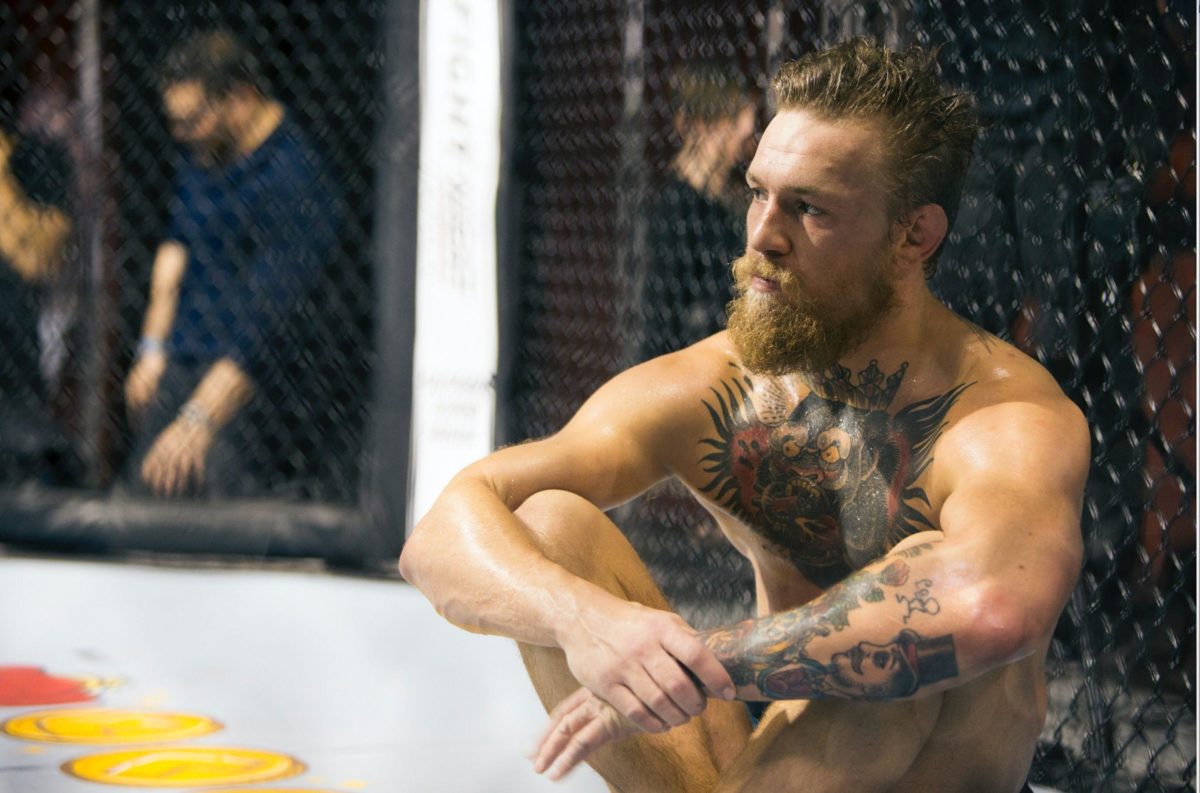 Conor McGregor HD Wallpapers Free Download in High Quality and …